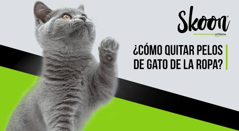 ¿Cómo quitar pelos de gato de la ropa?: Guía práctica y efectiva