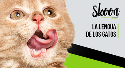 ¿Cómo es la lengua de los gatos?