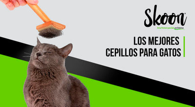 Los mejores cepillos para gatos: Guía de compra y uso