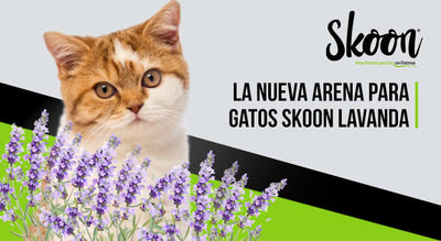La nueva arena para gatos Skoon Lavanda: La mejor opción para tu gato