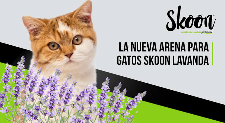 La nueva arena para gatos Skoon Lavanda: La mejor opción para tu gato