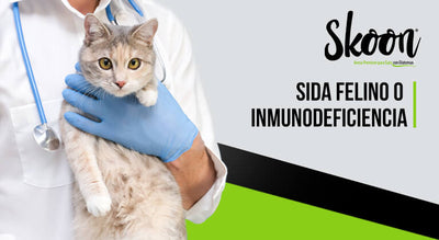 El sida felino o Inmunodeficiencia Felina