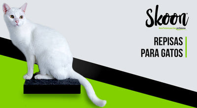Repisas para gatos