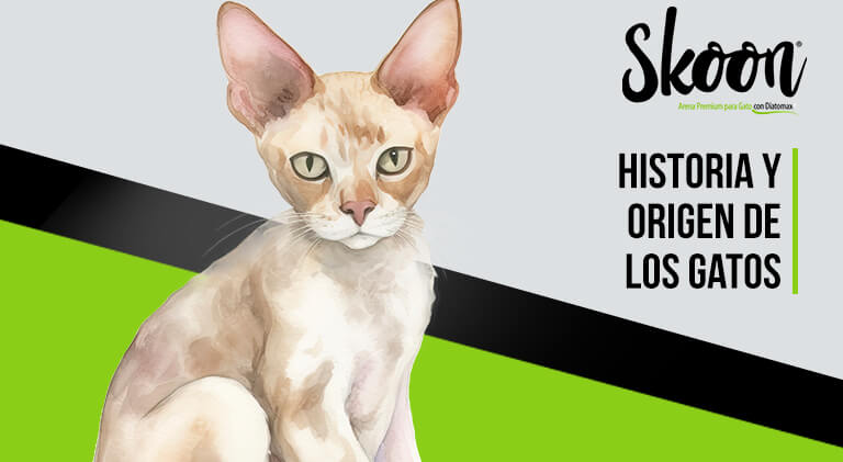 Historia y origen de los gatos: Un recorrido por la vida de nuestros amigos felinos
