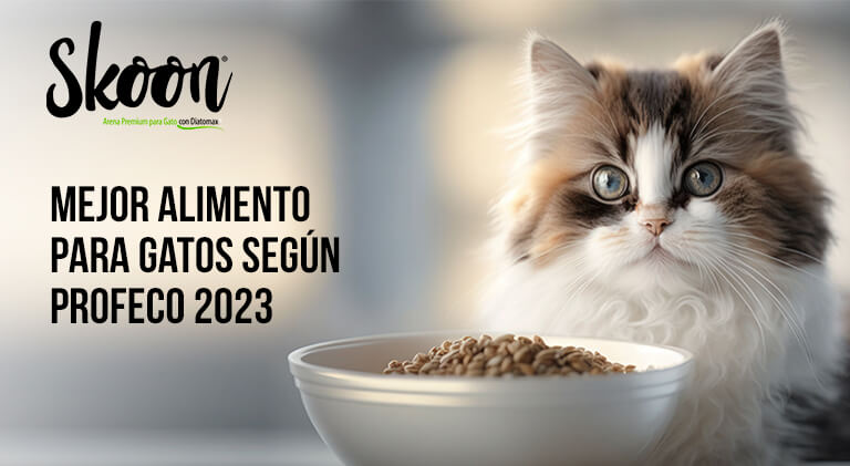 Mejor alimento para gatos según Profeco 2023