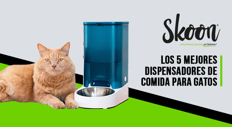 Dispensador comida para gatos