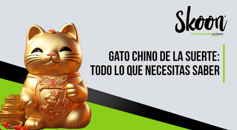Gato chino de la suerte: Todo lo que necesitas saber