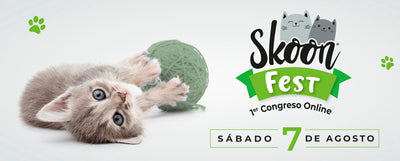 Registro gratis para el Skoon® Fest