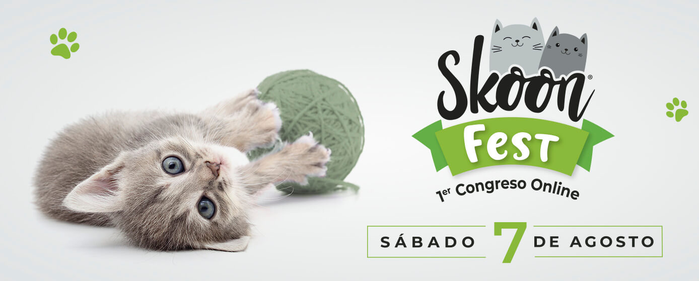 Registro gratis para el Skoon® Fest