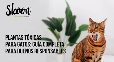 Plantas tóxicas para gatos: Guía completa para dueños responsables