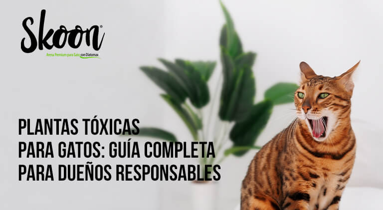 Plantas tóxicas para gatos: Guía completa para dueños responsables