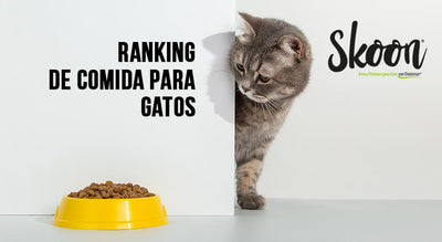 Ranking Comida para gatos