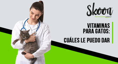 vitaminas para gatos