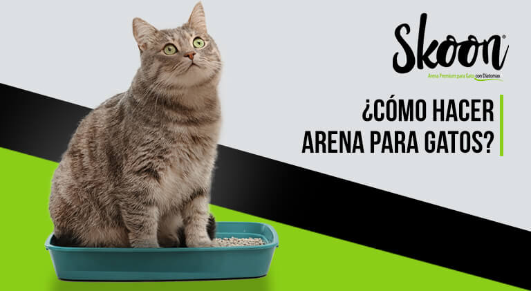 ¿Cómo hacer arena para gatos?