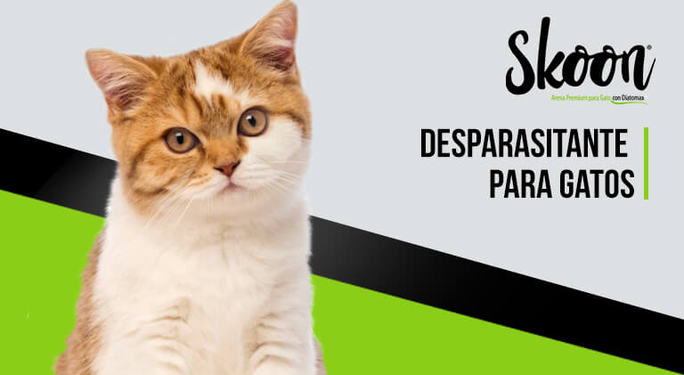 ¿Cuál es el mejor desparasitante para gatos?