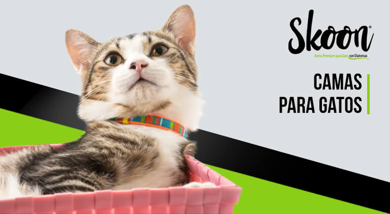 ¿Cómo hacer camas para gatos?