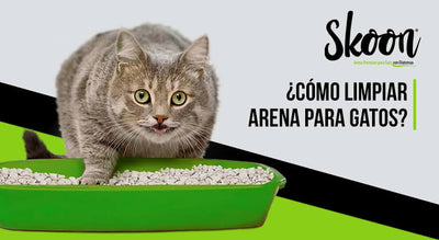 ¿Cómo limpiar arena para gatos?