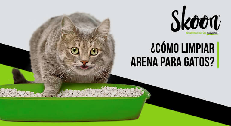 ¿Cómo limpiar arena para gatos?