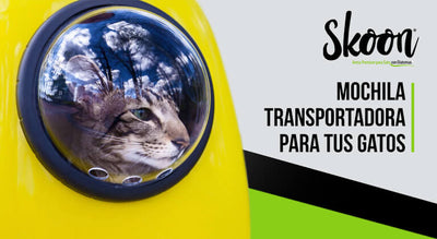 Mochila transportadora para tus gatos