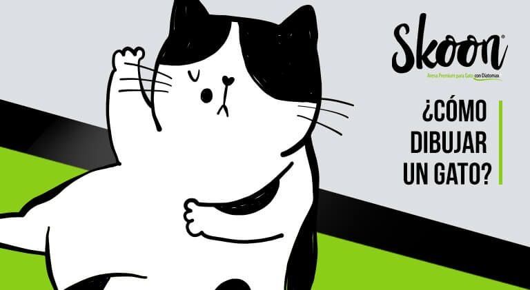 ¿Cómo dibujar un gato?