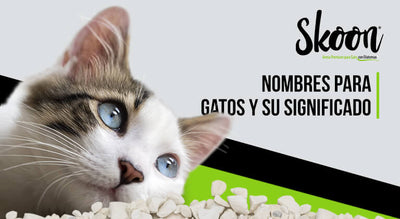 Nombres para gatos y su significado