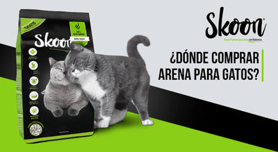 ¿Dónde comprar arena para gatos?