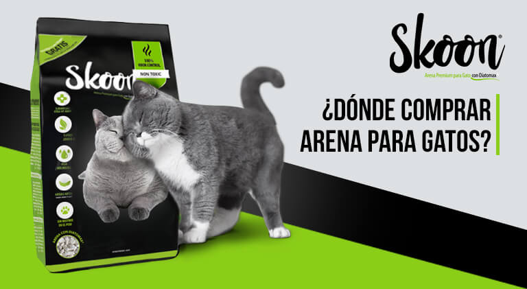 ¿Dónde comprar arena para gatos?