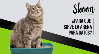 ¿Para qué sirve la arena para gatos?
