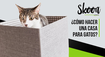¿Cómo hacer una casa para gatos?
