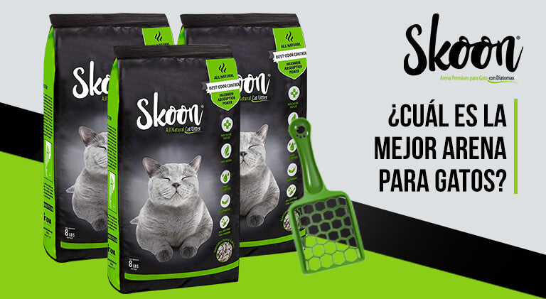 ¿Cuál es la mejor arena para gatos en 2026?