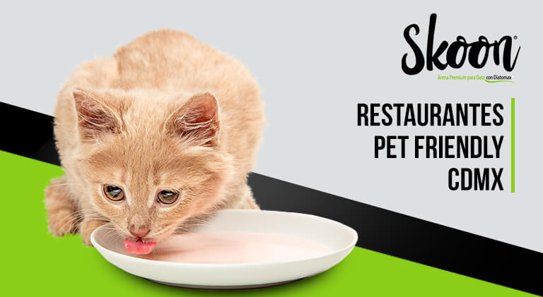 Restaurantes Pet Friendly CDMX