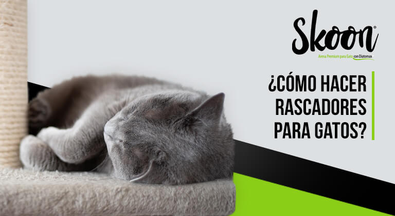 ¿Cómo hacer rascadores para gatos?