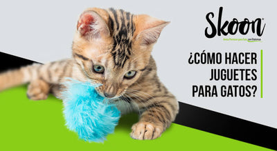 ¿Cómo hacer juguetes para gatos?