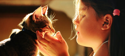 convivencia entre los gatos y los niños