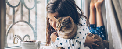 día mundial de abrazar a tu gato