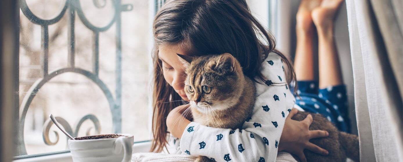 día mundial de abrazar a tu gato
