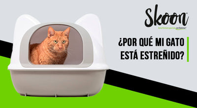 mi gato esta estreñido