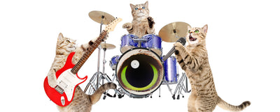 canciones que hablan de gatos