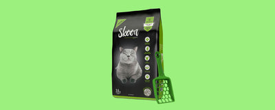 Skoon® resuelve tus dudas más frecuentes