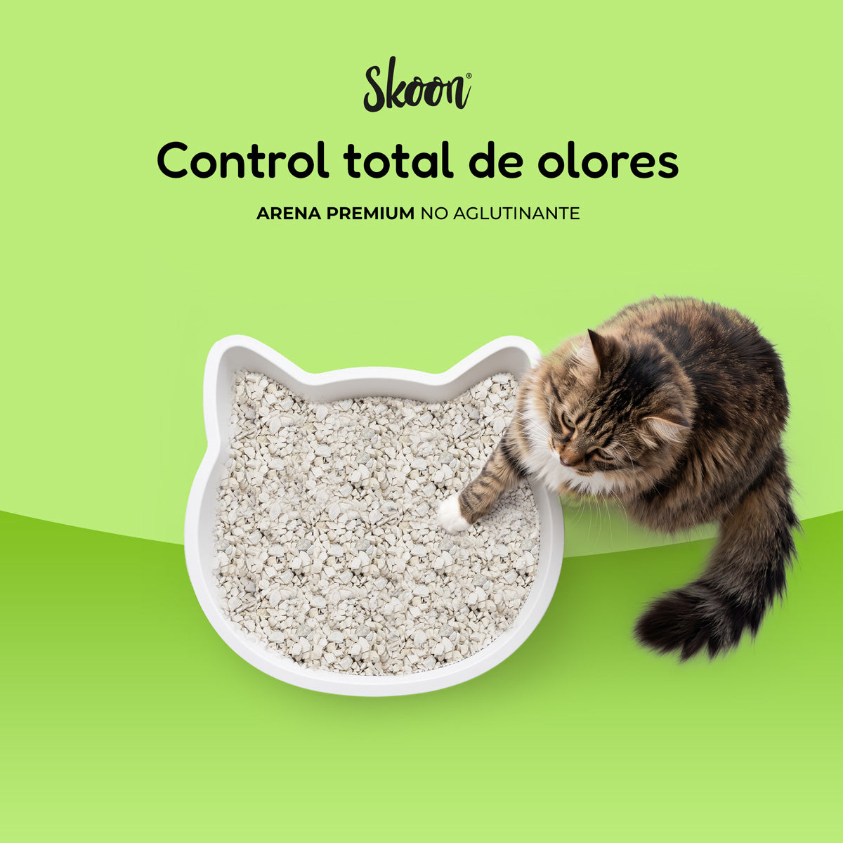 Arena para gatos premium Skoon