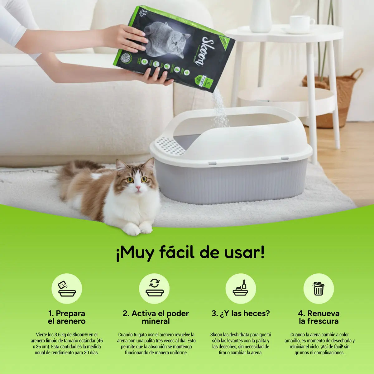 Arena para gatos premium Skoon