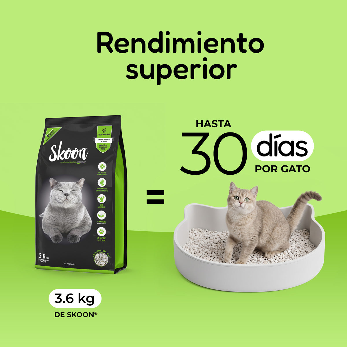 Arena para gatos premium Skoon
