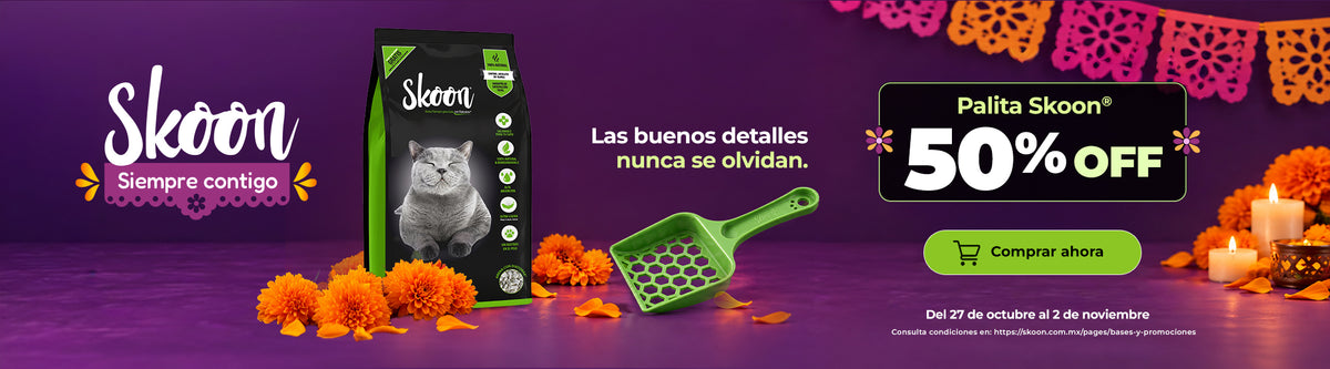 arena-para-gato-slide03_nov-2160x600_e56f44f3-eab7-4453-84d9-0169d6c8c199-skoon